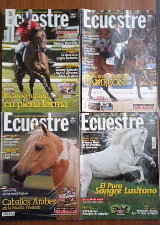 Colección Ecuestre