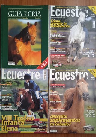 Colección Ecuestre