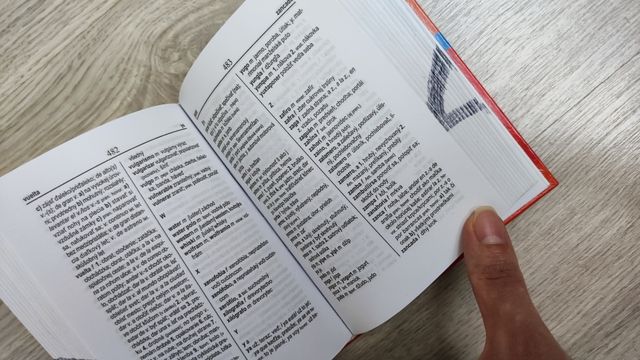 DICCIONARIO ESLOVACO ↔️ ESPAÑOL