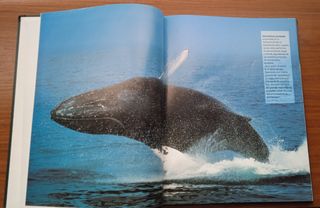 Enciclopedia Vida Salvaje Larousse