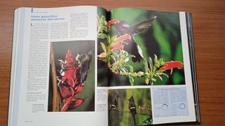 Enciclopedia Vida Salvaje Larousse