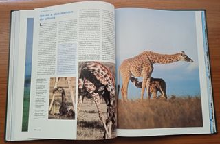 Enciclopedia Vida Salvaje Larousse