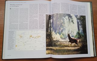 Enciclopedia Vida Salvaje Larousse