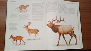 Enciclopedia National Geographic