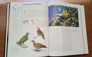 Enciclopedia National Geographic