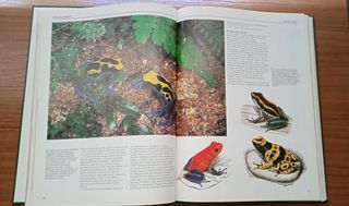 Enciclopedia National Geographic
