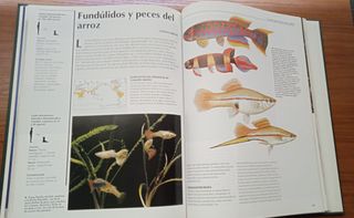 Enciclopedia National Geographic