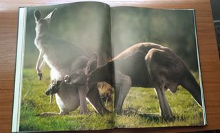 Enciclopedia National Geographic