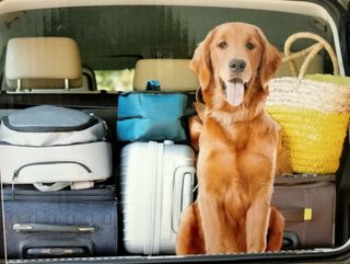 TRANSPORTIN/CASETA TELA PERROS