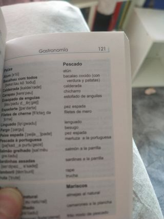 Guia conversación diccionario portugués