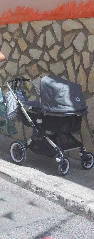 Bugaboo fox