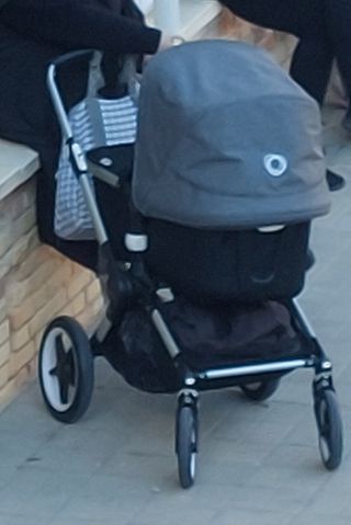 Bugaboo fox