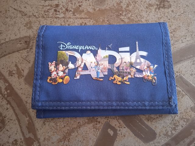Monedero de Disneyland