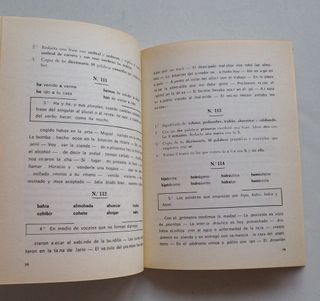 MIS DICTADOS. Libro antiguo. 1978