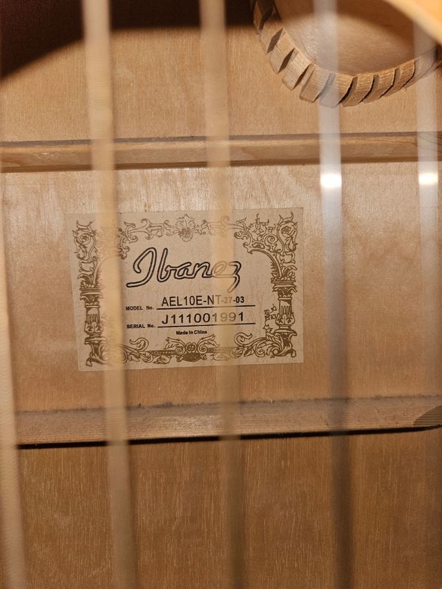 Chitarra acustica elettrica