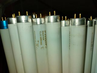 Fluorescentes Philips tubos