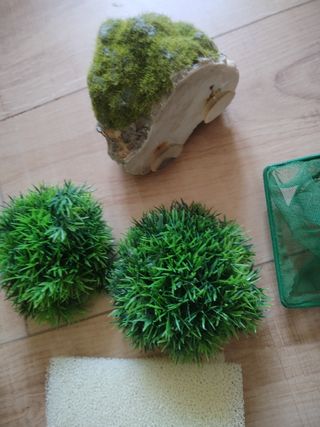 Filtro y Varios artículos tortuguero