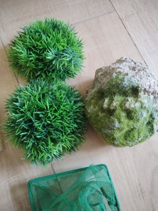 Filtro y Varios artículos tortuguero