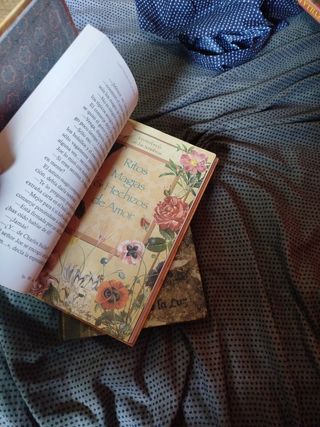 2 libros Fairy oak + 1 REGALO!!!