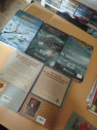 5 libros Fairy oak