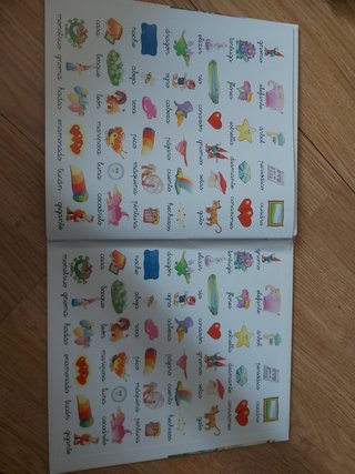 Libro infantil leo y veo los gnomos