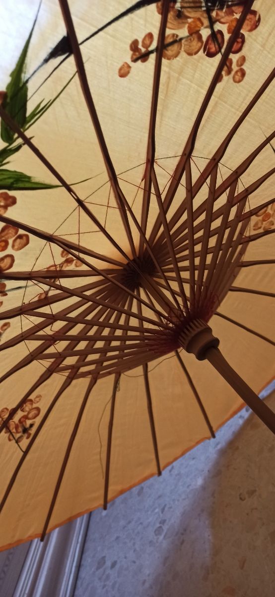 Paraguas/sombrilla de tela china