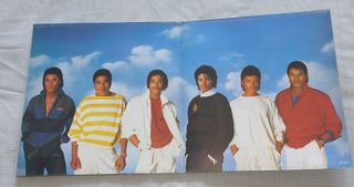 MICHAEL JACKSON LOTE DE VINILOS