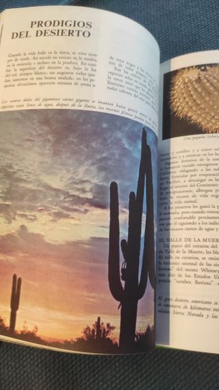 Libro cuentos Disney. El mundo de la naturaleza 
