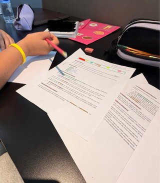 Profesora