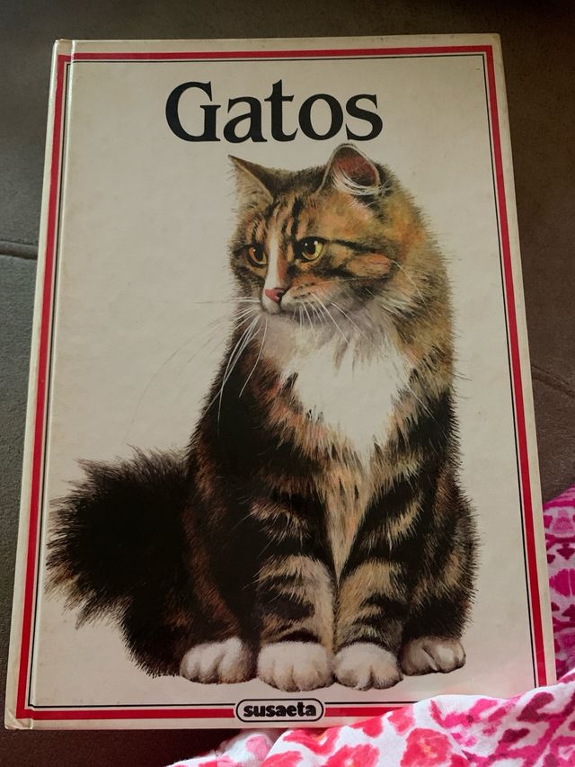 Libro Gatos