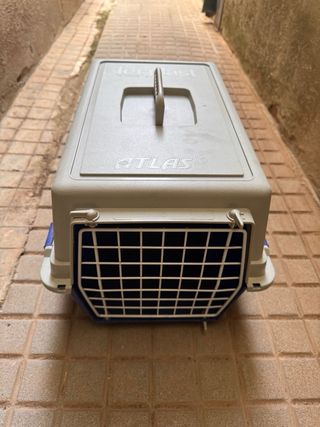 Transportin animales