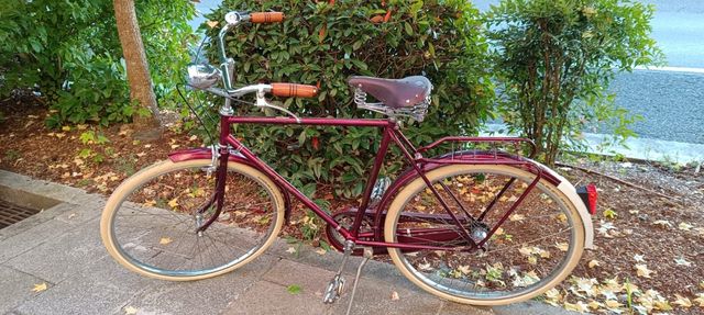 Bicicletta olandese