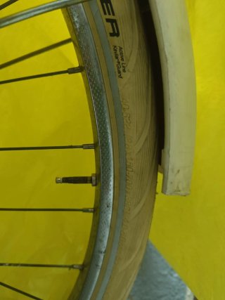 Bicicleta holandesa