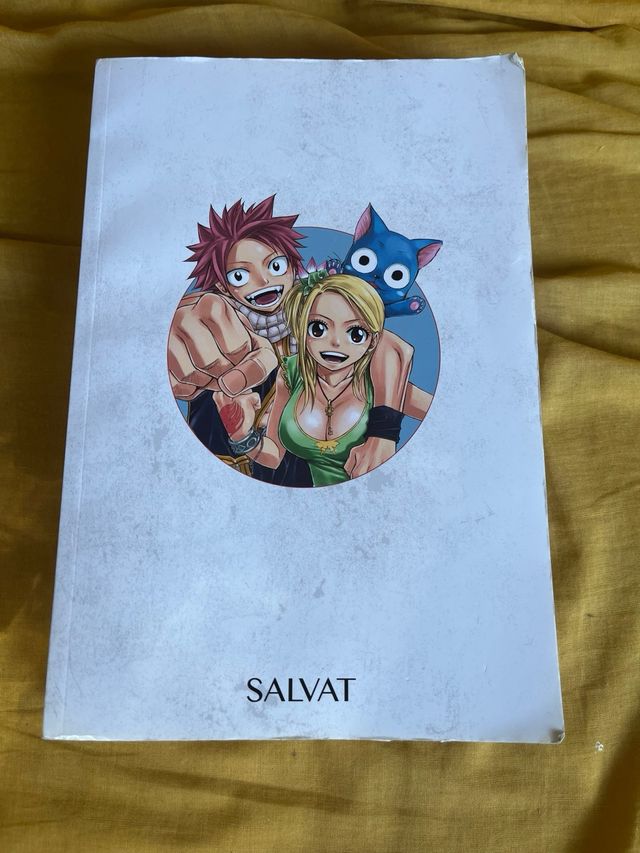 FAIRYTAIL EDICION INTEGRAL