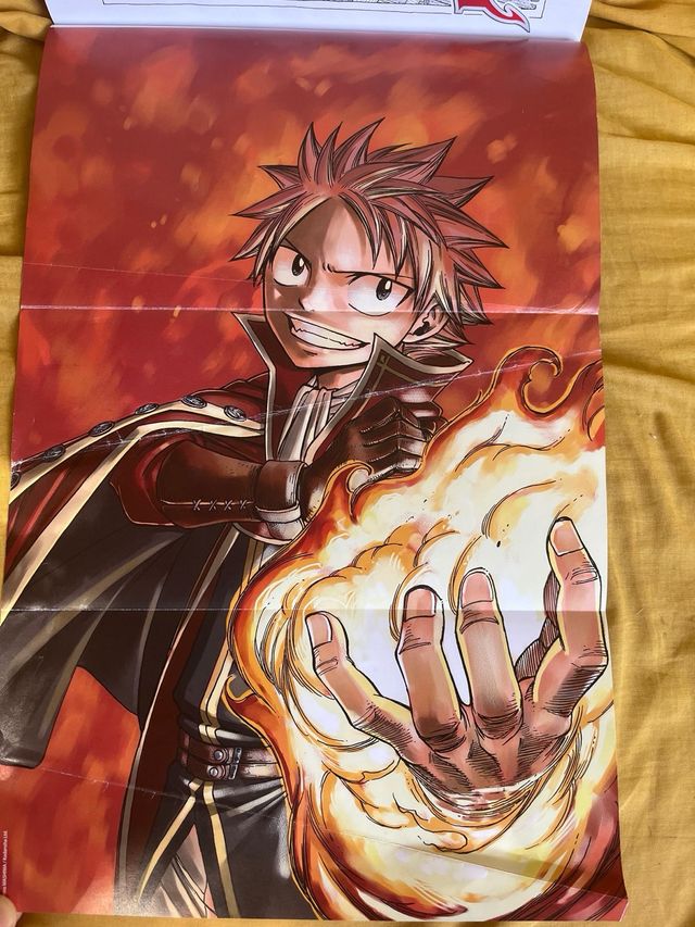 FAIRYTAIL EDICION INTEGRAL