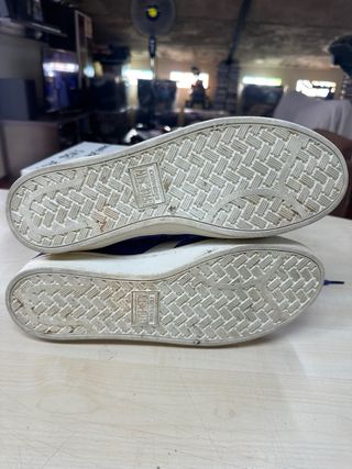 Converse “all Star” ante.