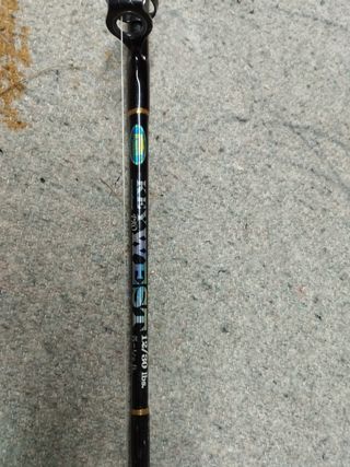 Caña de pesca curricán