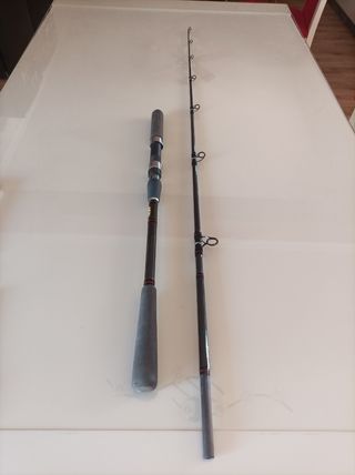 Caña de pescar jigging 