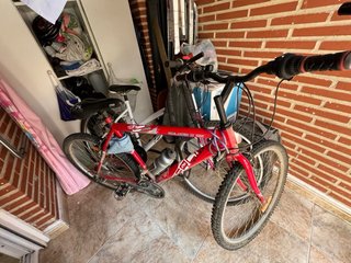 Bicicleta