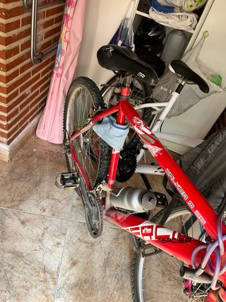 Bicicleta
