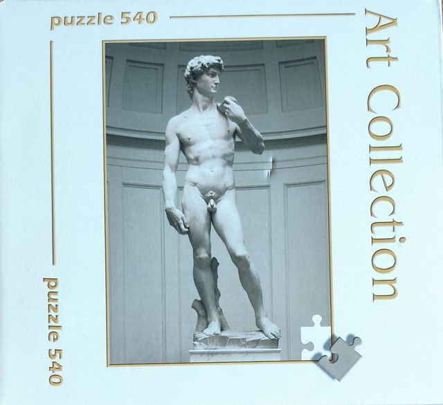 Puzzle David de Miguel Ángel 500 piezas