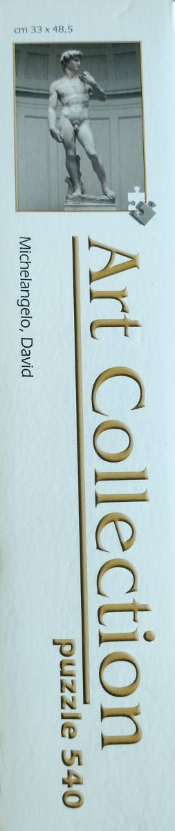 Puzzle David de Miguel Ángel 500 piezas