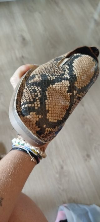 Mocasines piel Franco Sarto