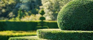 Servicios de Paisajismo y talas