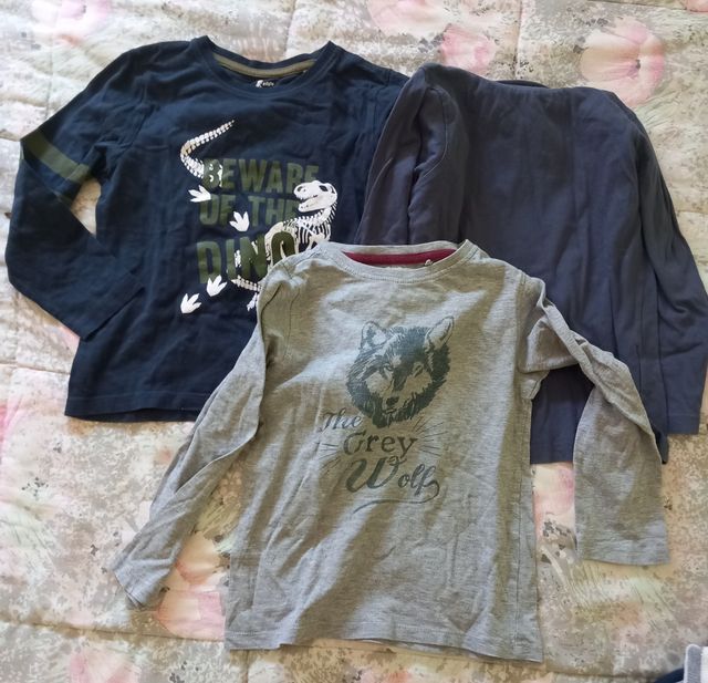 Lote ropa niño 5-6 años