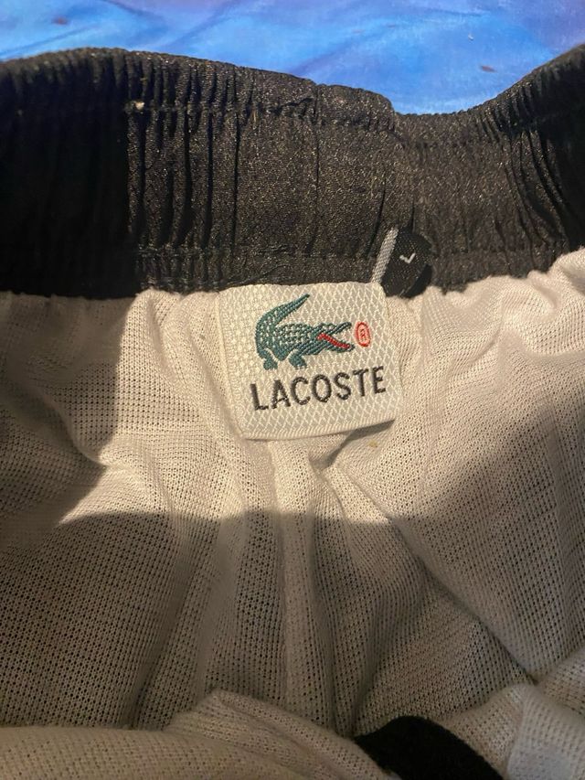 Conjunto Lacoste