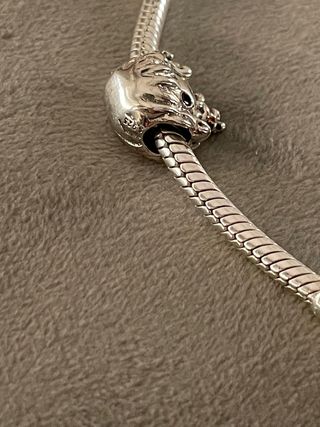 Charm Hermione Granger Harry Potter 