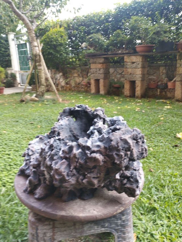 Struttura/vaso bonsai