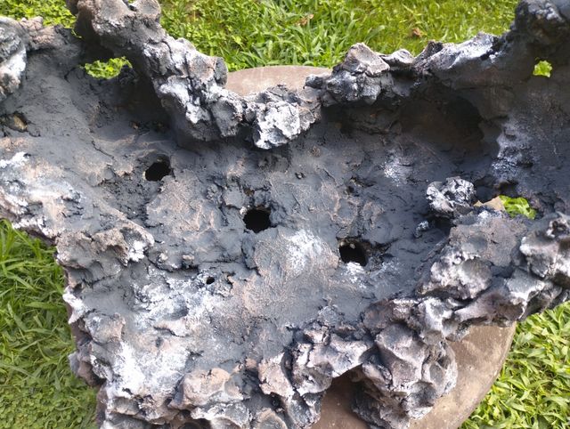 Struttura/vaso bonsai