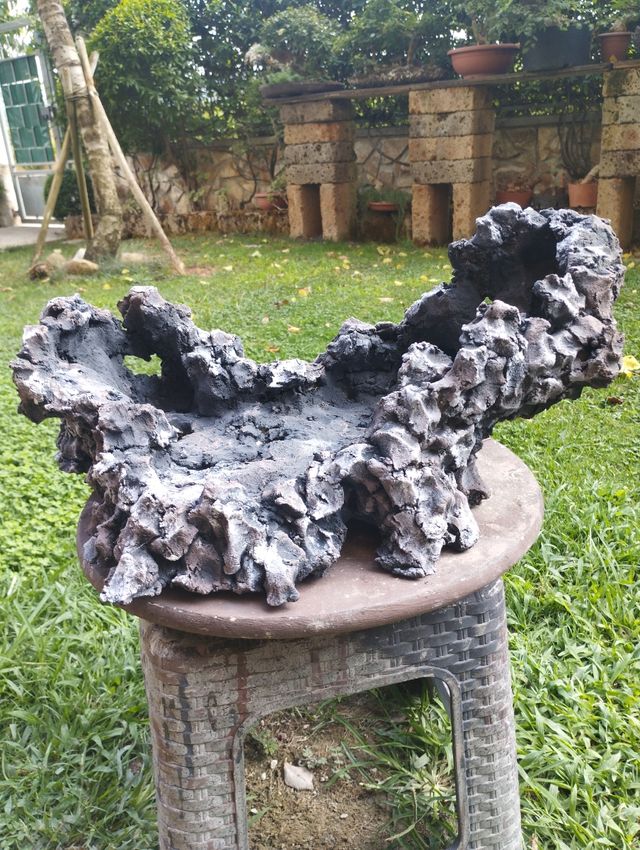 Struttura/vaso bonsai